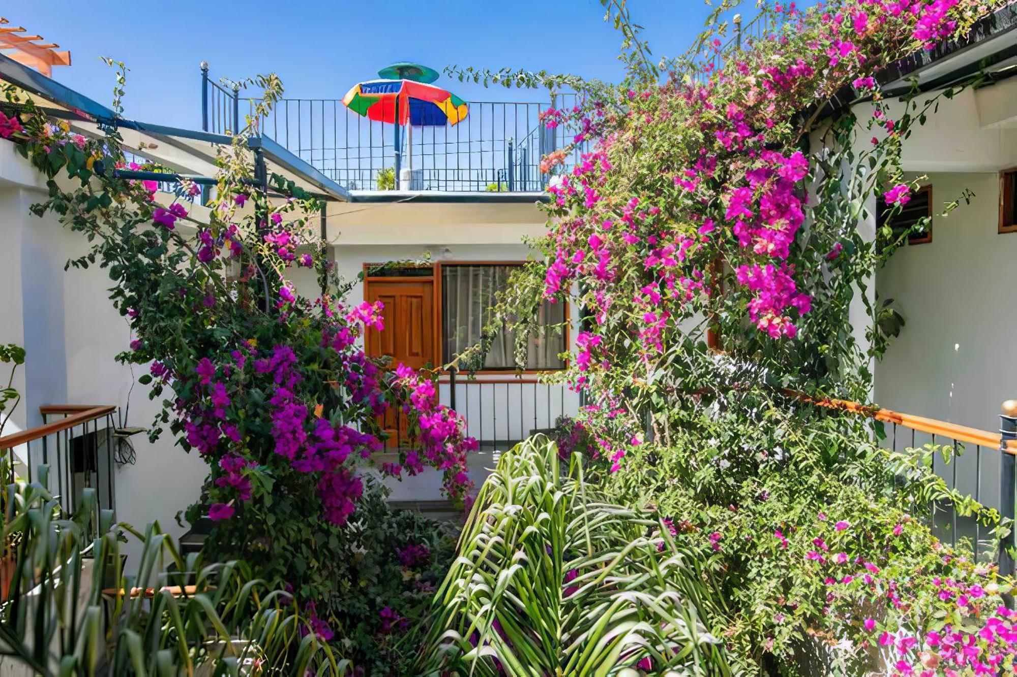 Casa El Errante Otel Arequipa Dış mekan fotoğraf